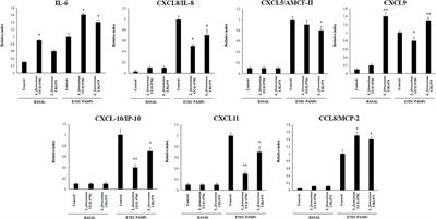 Evaluation of the Immunomodulatory Activities of the Probiotic Strain Lactobacillus fermentum UCO-979C